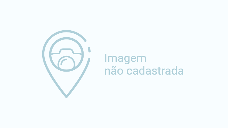 Passeios de Buggy 